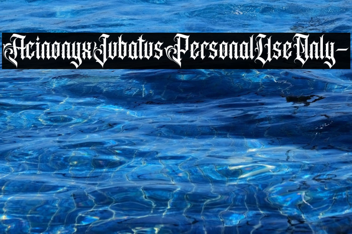 AcinonyxJubatusPersonalUseOnly- Example 2