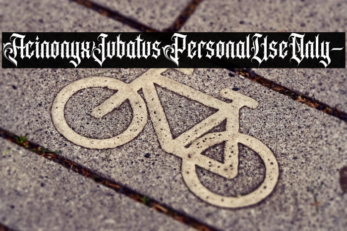 AcinonyxJubatusPersonalUseOnly- Example 3