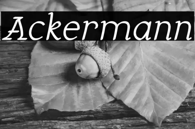 Ackermann Schriftart examples