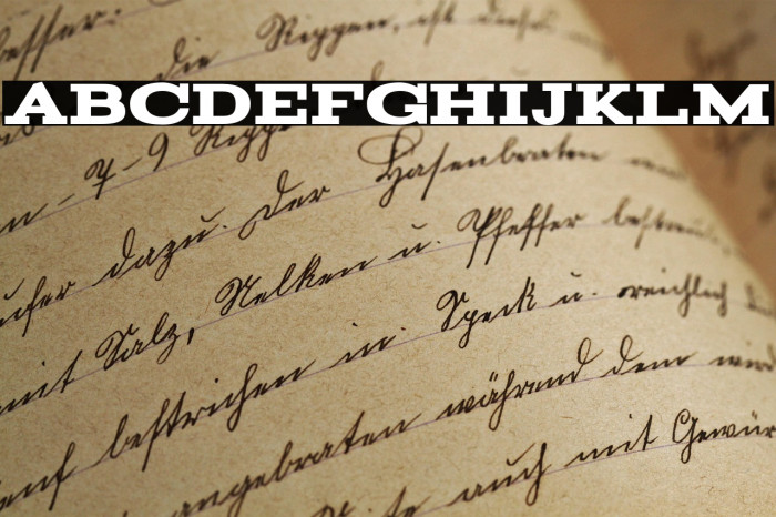 Acknowledgement Example 2