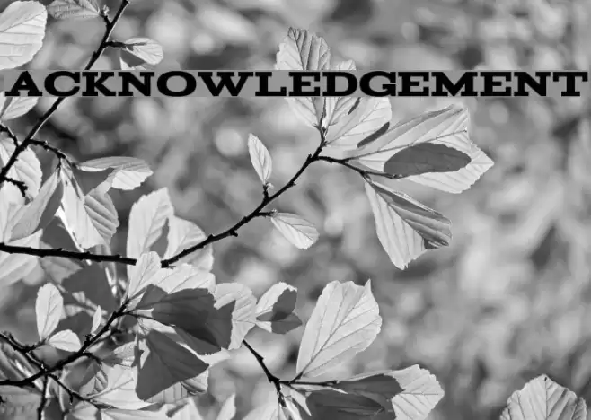 Acknowledgement फ़ॉन्ट examples