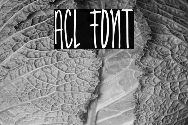 Acl Font examples