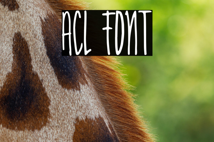 Acl Example 3