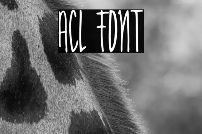 Acl Font examples