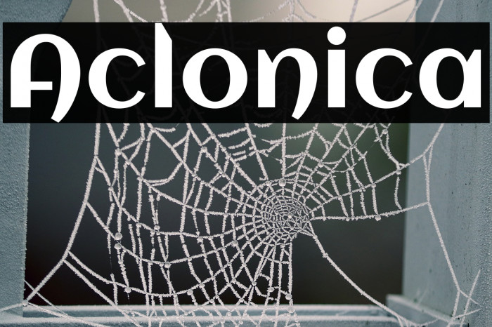 Aclonica Font examples
