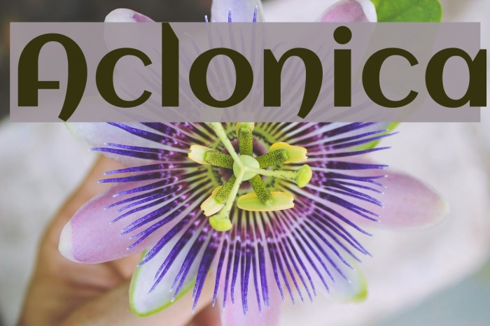 Aclonica Font examples