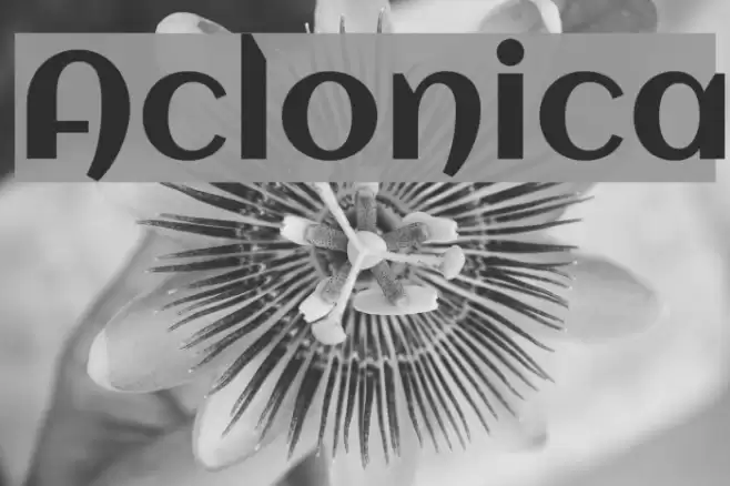 Aclonica フォント examples