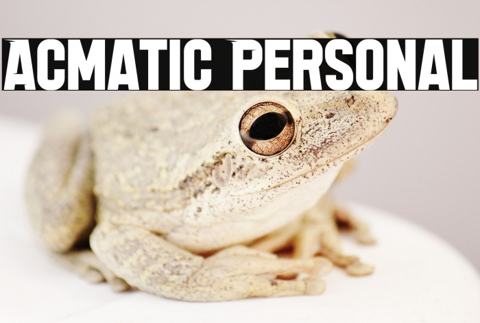 Acmatic Personal Example 1