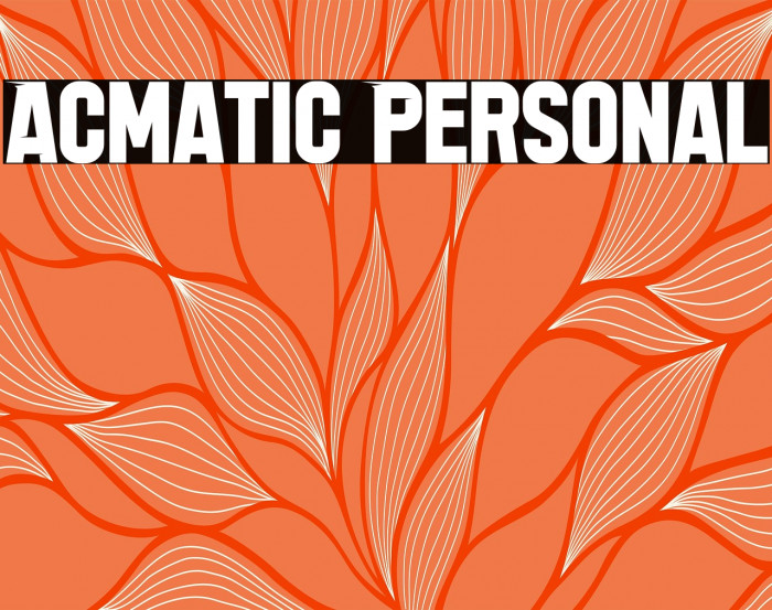 Acmatic Personal Example 2
