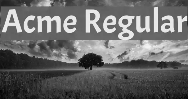 Acme Regular Font examples