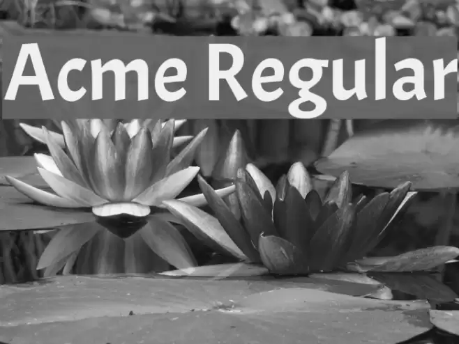 Acme Regular Font examples