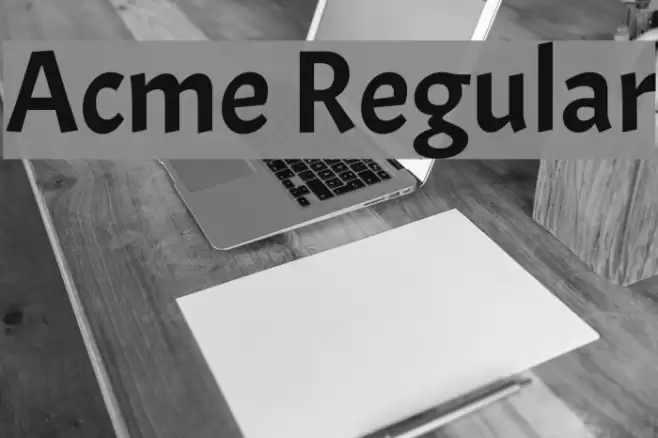 Acme Regular Font examples