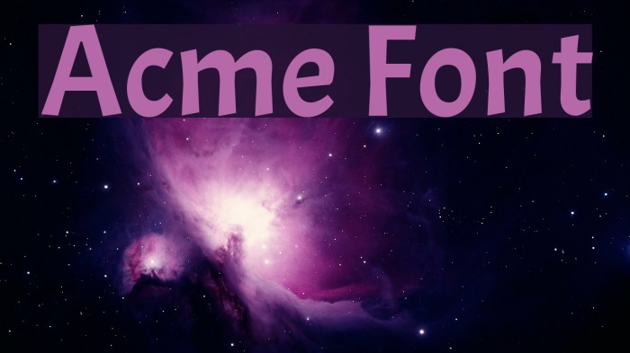Acme Polices examples