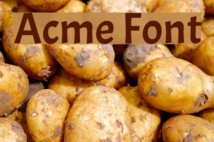 Acme Polices examples
