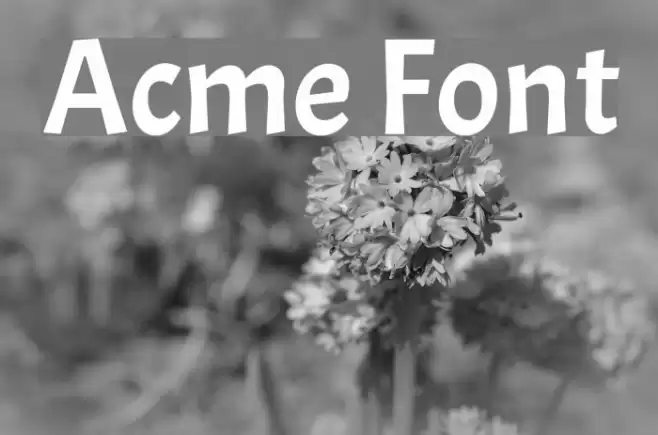 Acme Font examples