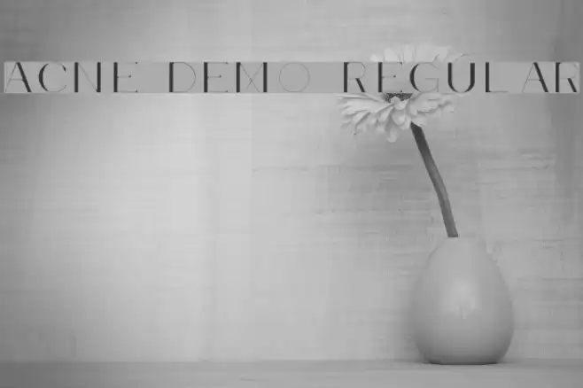 Acne Demo Regular Font examples