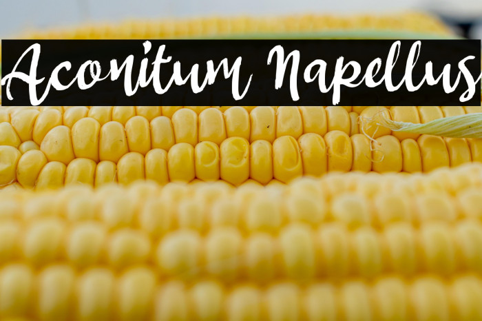 Aconitum Napellus Example 1