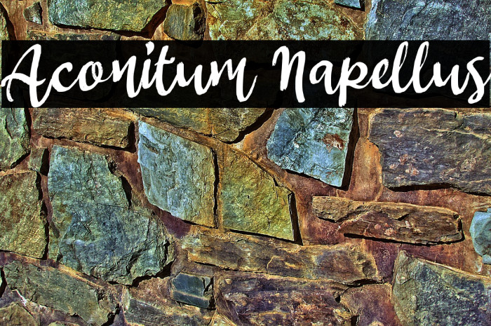 Aconitum Napellus Example 2