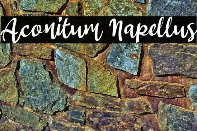 Aconitum Napellus Example 2