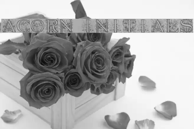 Acorn Initials Font examples