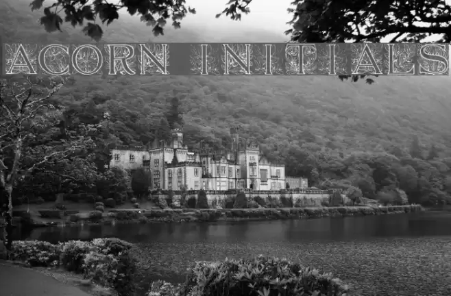 Acorn Initials Font examples