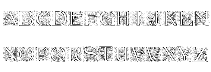 Acorn Initials Font LOWERCASE