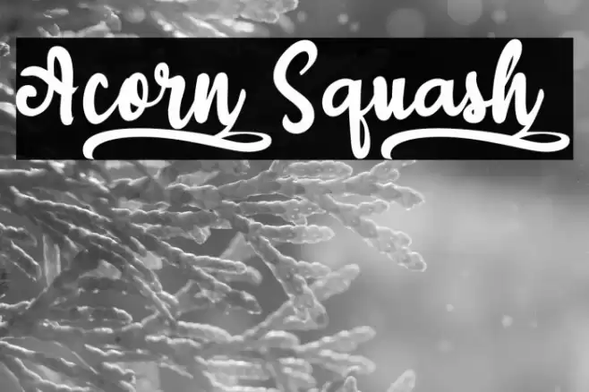 Acorn_Squash_ Font examples