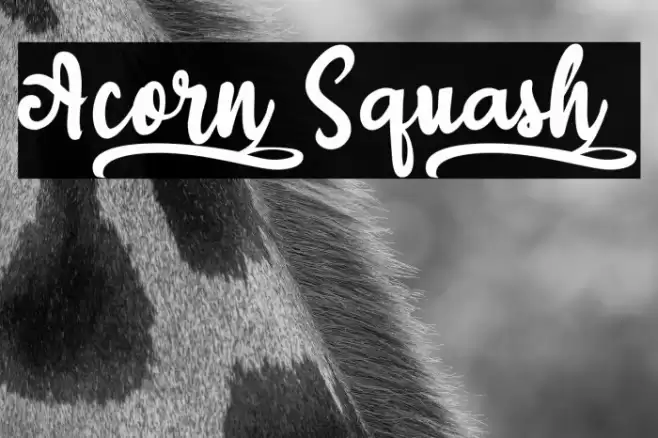 Acorn_Squash_ Font examples
