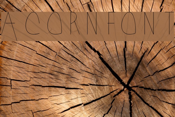 Acorn Font examples