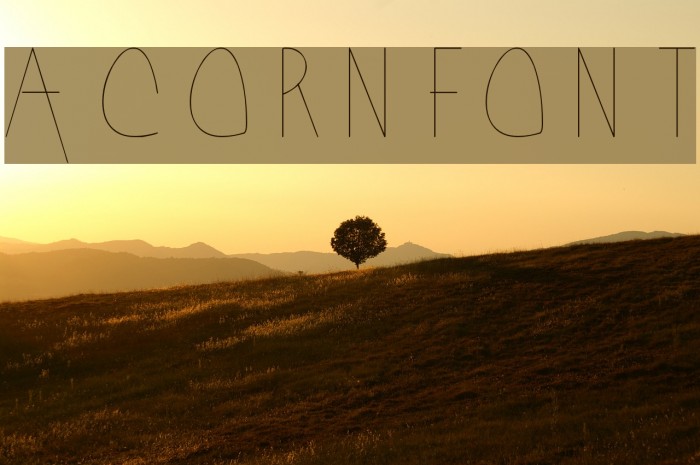 Acorn Font examples