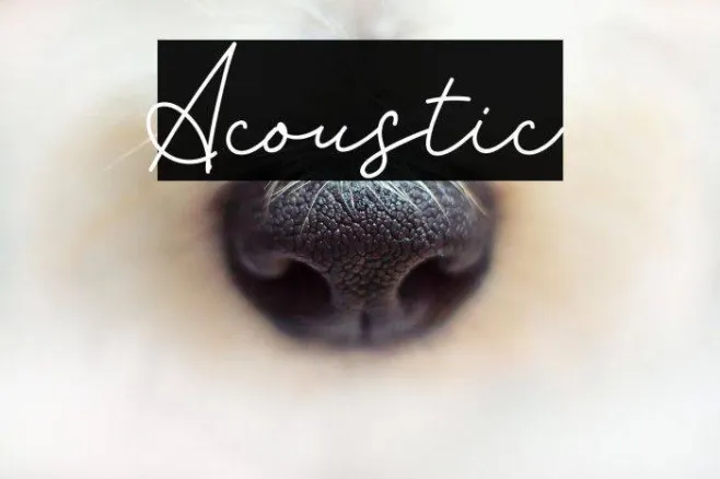 Acoustic Example 1