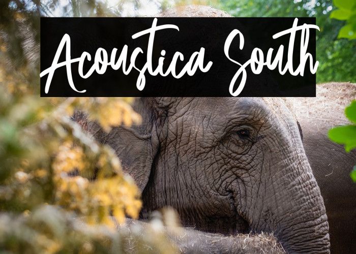 Acoustica South Example 1