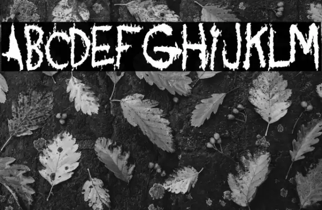 Acquaintance Schriftart examples