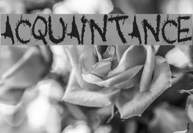 Acquaintance Schriftart examples