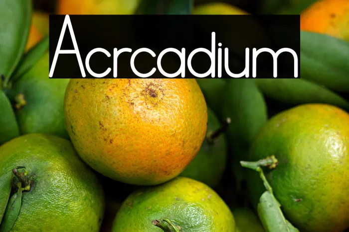 Acrcadium Example 1