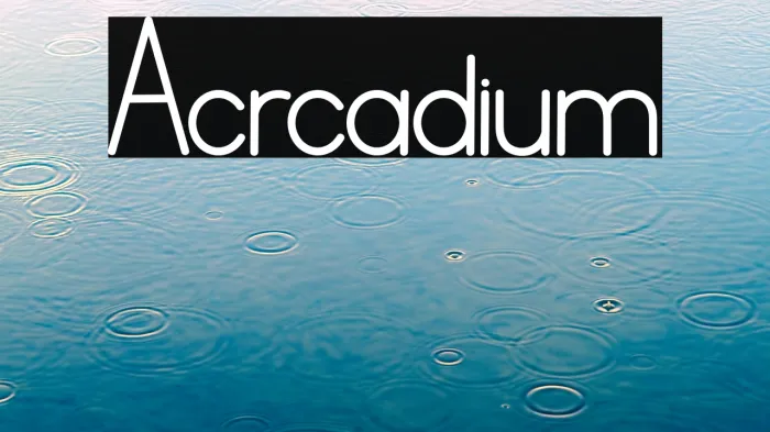 Acrcadium Example 2