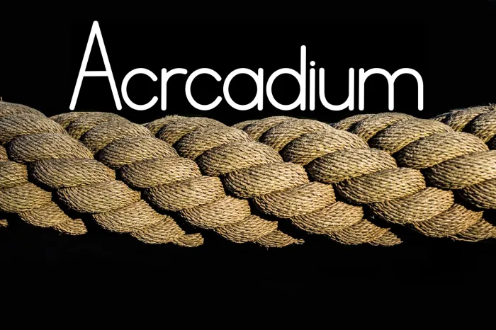 Acrcadium Example 3