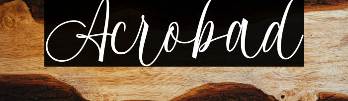 Acrobad Example 2