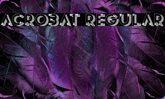 Acrobat Regular Example 3