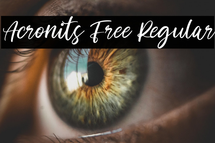 Acronits Free Regular Example 1