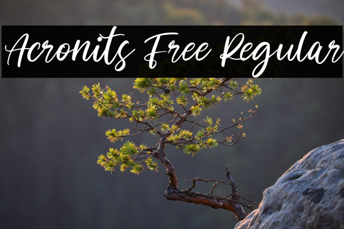 Acronits Free Regular Example 2