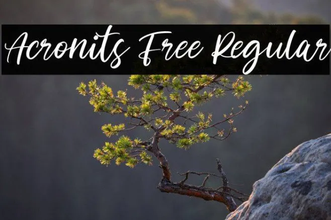 Acronits Free Regular Example 2