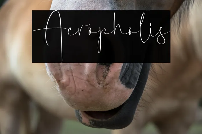 Acropholis Example 1