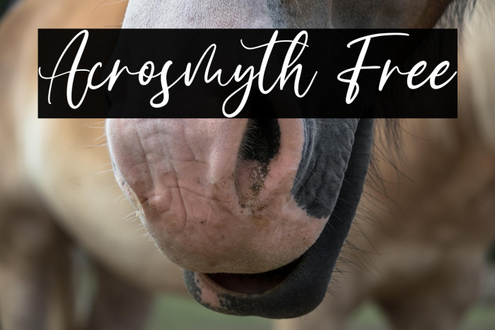 Acrosmyth Free Example 1