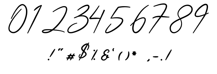 Acterum Signature Personal Font OTHER CHARS