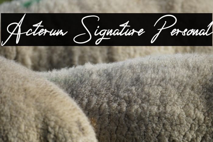 Acterum Signature Personal Example 1