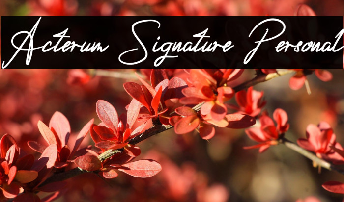 Acterum Signature Personal Example 2