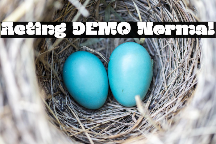 Acting DEMO Normal Example 3