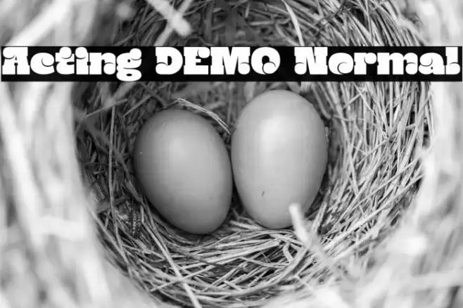 Acting DEMO Normal フォント examples