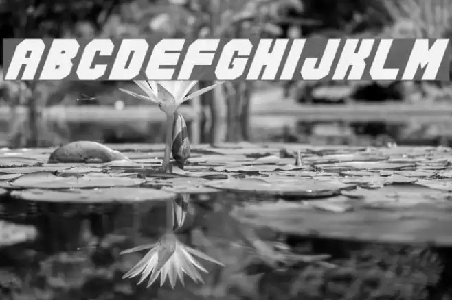 Action Force Normal Schriftart examples